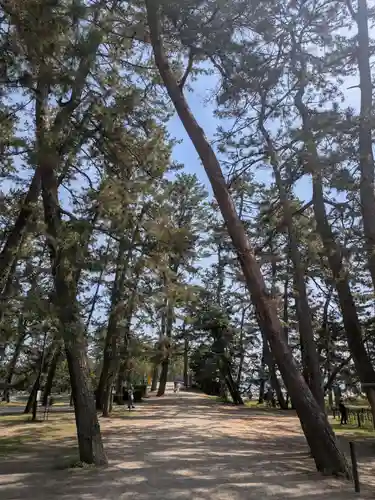 智恩寺(京都府)
