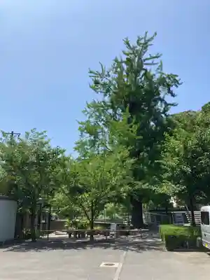 浄土寺(神奈川県)