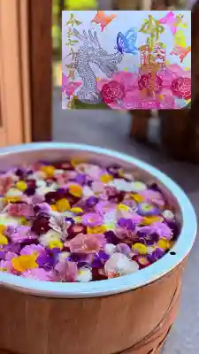 御井神社(岐阜県)