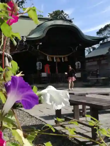 菊田神社の本殿・本堂