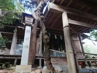 若宮精魂印之宮(愛知県)