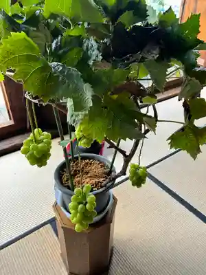 大善寺(山梨県)