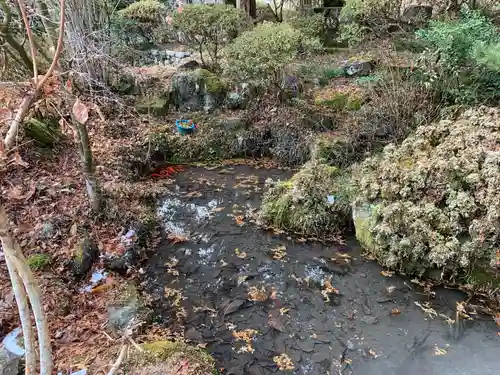 光勝寺の庭園