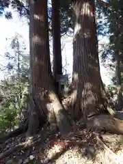 八龍権現神社の自然