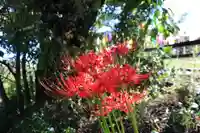 高司神社〜むすびの神の鎮まる社〜の庭園