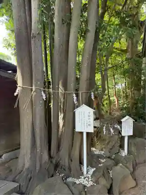検見川神社(千葉県)