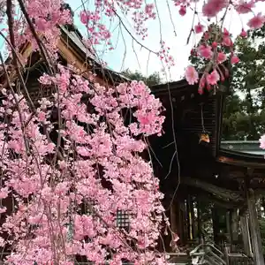 豊景神社の自然(2020年04月18日(土) 06時24分24秒投稿)