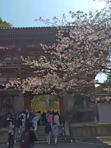 醍醐寺の{uncategorized: "未分類", other: "その他", undefined: "問題あり", building: "その他建物", grave: "お墓", sacred_gate: "鳥居", guardian: "狛犬", statue: "像", buddha: "仏像", history: "歴史", nature: "自然", garden: "庭園", animal: "動物", pagoda: "塔", temizu: "手水舎", mountain_gate: "山門・神門", sanctuary: "本殿・本堂", subordinate: "末社・摂社", art: "芸術", scenery: "景色", jizo: "地蔵", ema: "絵馬", goshuin: "御朱印", omikuji: "おみくじ", items: "授与品その他", amulet: "お守り", goshuincho: "御朱印帳", eats: "食事", festival: "お祭り", votive_dance: "神楽", shichigosan: "七五三参", wedding: "結婚式", experience: "体験その他", initially: "初詣", around: "周辺", anti_infection: "感染症対策"}