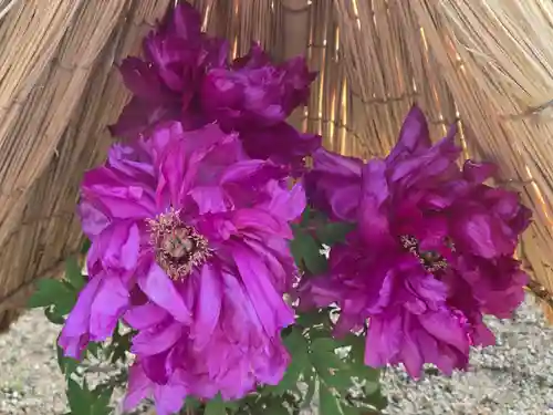 石光寺(奈良県)