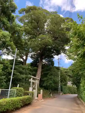 宇賀神社(千葉県)