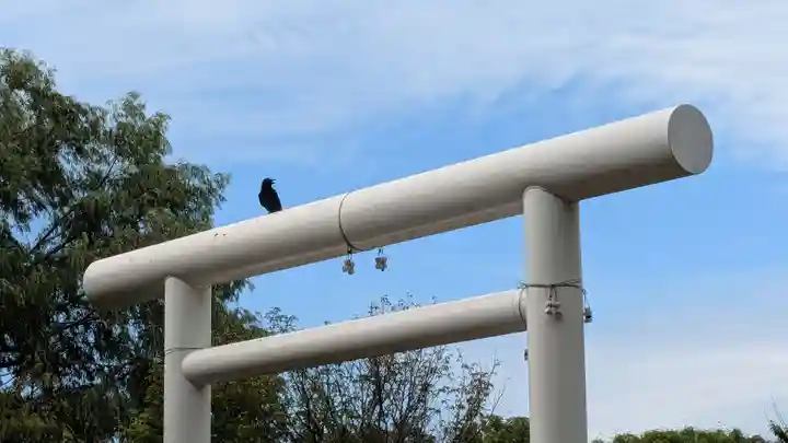 留萌神社の動物