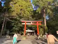 霧島神宮の鳥居