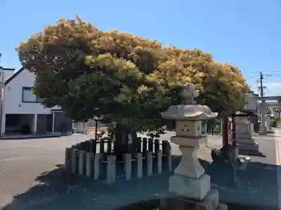 多摩川諏訪神社(東京都)