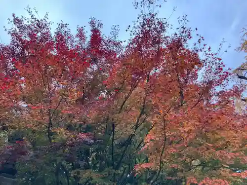 淨眞寺(東京都)