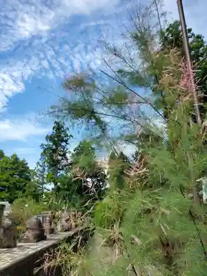 沙沙貴神社(滋賀県)