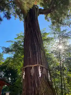 香取神宮(千葉県)
