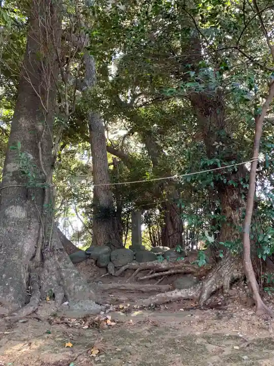 麻賀多神社(千葉県)