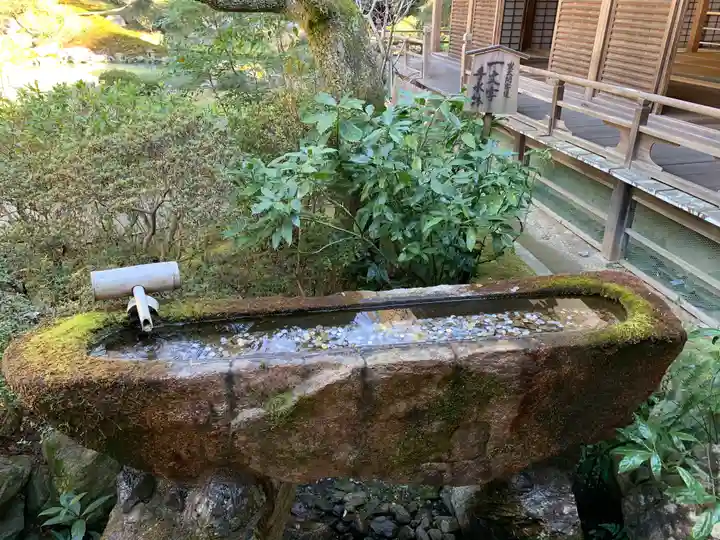 青蓮院門跡の手水舎