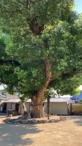 金倉寺(香川県)