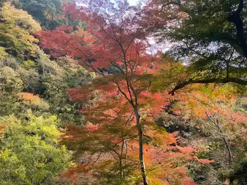 瀧安寺(大阪府)