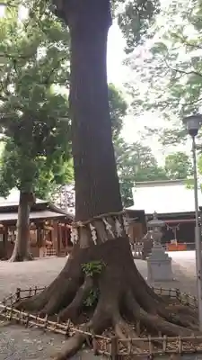 星川杉山神社のその他建物