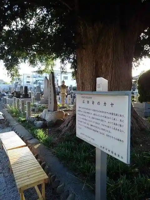 石田寺の庭園