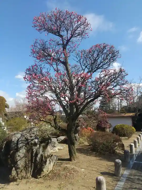 安楽寺(栃木県)