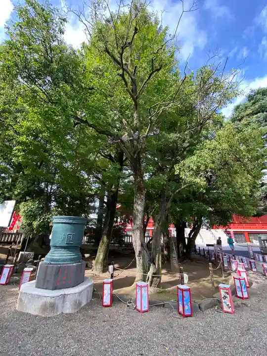 浅草神社(東京都)