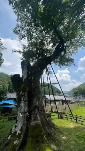 足鹿神社の{uncategorized: "未分類", other: "その他", undefined: "問題あり", building: "その他建物", grave: "お墓", sacred_gate: "鳥居", guardian: "狛犬", statue: "像", buddha: "仏像", history: "歴史", nature: "自然", garden: "庭園", animal: "動物", pagoda: "塔", temizu: "手水舎", mountain_gate: "山門・神門", sanctuary: "本殿・本堂", subordinate: "末社・摂社", art: "芸術", scenery: "景色", jizo: "地蔵", ema: "絵馬", goshuin: "御朱印", omikuji: "おみくじ", items: "授与品その他", amulet: "お守り", goshuincho: "御朱印帳", eats: "食事", festival: "お祭り", votive_dance: "神楽", shichigosan: "七五三参", wedding: "結婚式", experience: "体験その他", initially: "初詣", around: "周辺", anti_infection: "感染症対策"}