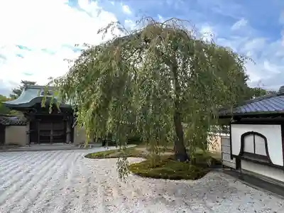 高台寺（高台寿聖禅寺・高臺寺）(京都府)