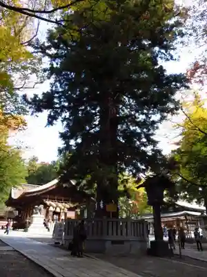 諏訪大社下社秋宮のその他建物