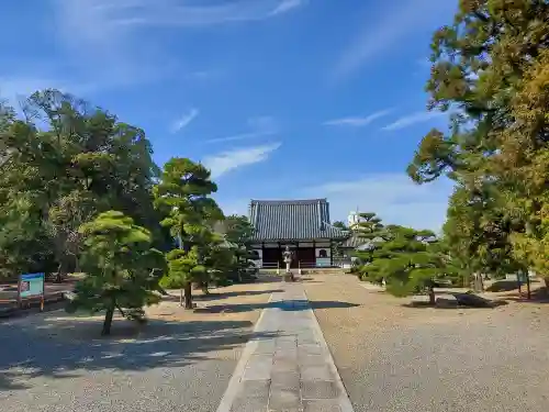 野中寺の{uncategorized: "未分類", other: "その他", undefined: "問題あり", building: "その他建物", grave: "お墓", sacred_gate: "鳥居", guardian: "狛犬", statue: "像", buddha: "仏像", history: "歴史", nature: "自然", garden: "庭園", animal: "動物", pagoda: "塔", temizu: "手水舎", mountain_gate: "山門・神門", sanctuary: "本殿・本堂", subordinate: "末社・摂社", art: "芸術", scenery: "景色", jizo: "地蔵", ema: "絵馬", goshuin: "御朱印", omikuji: "おみくじ", items: "授与品その他", amulet: "お守り", goshuincho: "御朱印帳", eats: "食事", festival: "お祭り", votive_dance: "神楽", shichigosan: "七五三参", wedding: "結婚式", experience: "体験その他", initially: "初詣", around: "周辺", anti_infection: "感染症対策"}