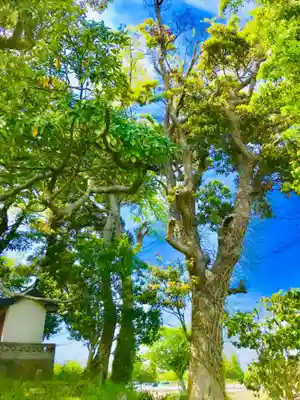 愛宕神社(茨城県)