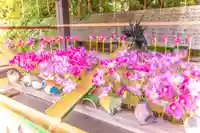 國分八幡宮(香川県)