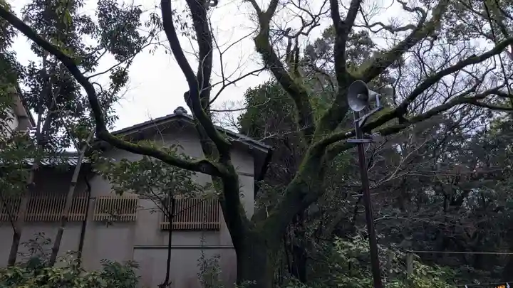 潮江天満宮の自然