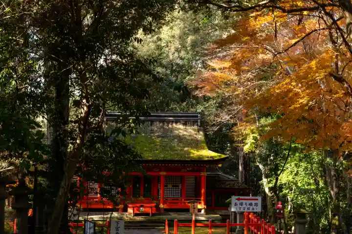 宇佐神宮(大分県)