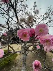 大生郷天満宮(茨城県)