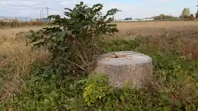 下士別神社の自然