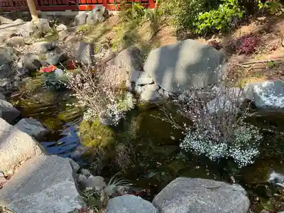 武蔵一宮氷川神社(埼玉県)