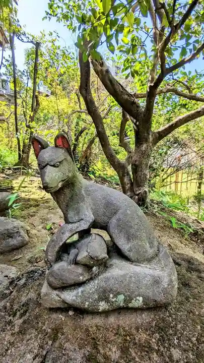 白金氷川神社の狛犬
