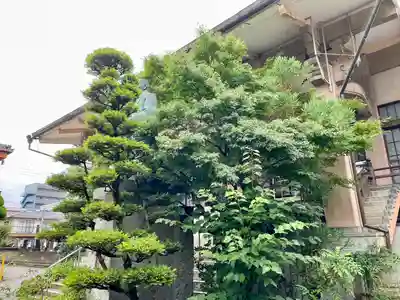 極楽寺(長野県)