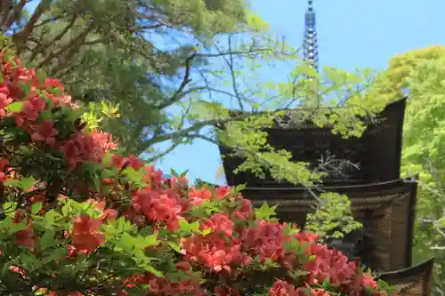 国宝 大法寺の塔