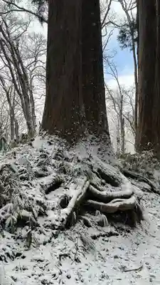 戸隠神社九頭龍社(長野県)