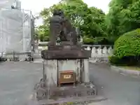 福岡縣護國神社の狛犬