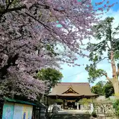 矢奈比賣神社（見付天神）の本殿