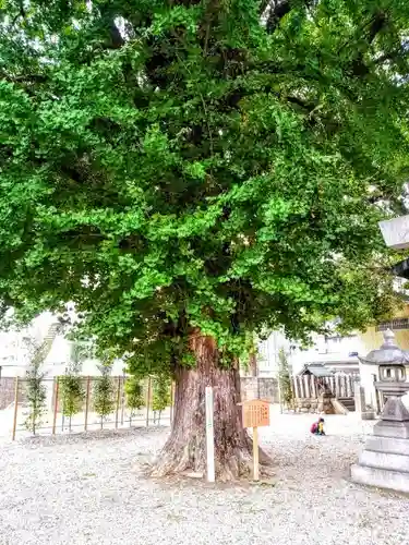 金山神社の自然