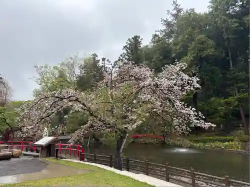 間々田八幡宮(栃木県)