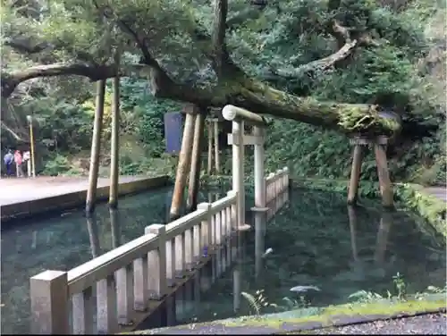 鹿島神宮の庭園