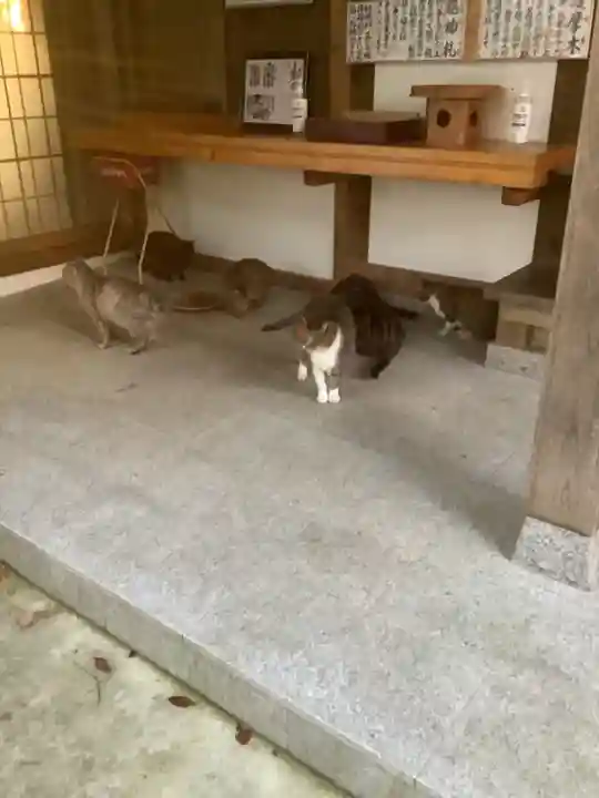 玉野御嶽神社の動物