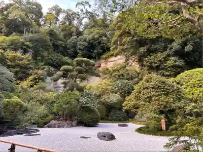 報国寺の庭園